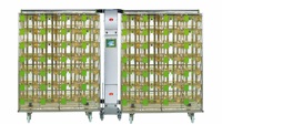 מערכת כלובי IVC Seal Safe Plus לחולדות, תוצרת Tecniplast